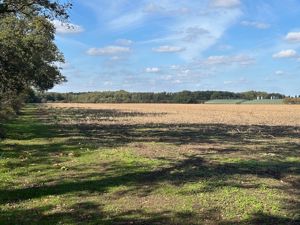 Lot 2 - click for photo gallery